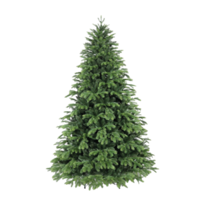 GRAND_SAPIN_VERT