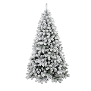 SAPIN_ENNEIGÉ