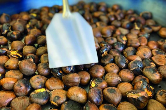 Marrons 1
